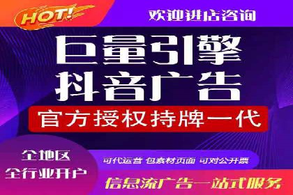 搜索引擎营销（SEM）的广告创意与落地页设计——以某成功创业公司的实践为例